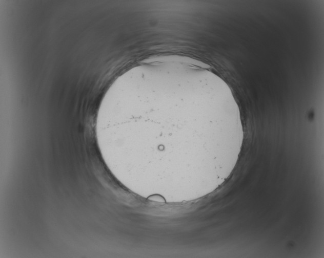 X0000115680045200912241450