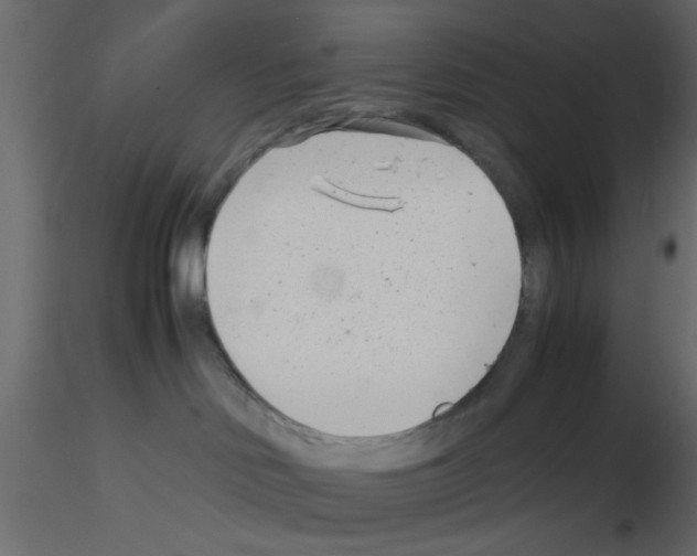 X0000115680046200912241450
