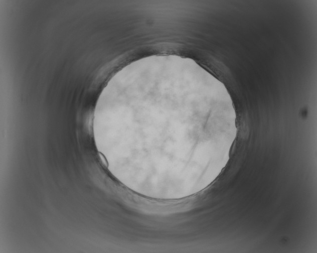 X0000115680047200912241450