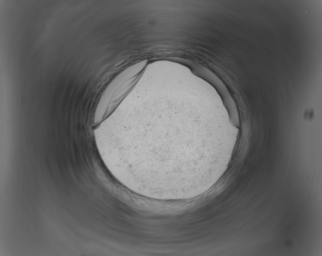 X0000115680048200912241450