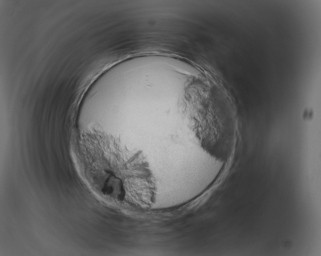 X0000115680049200912241449