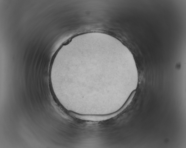X0000115680052200912241449