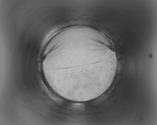X0000115680053200912241449