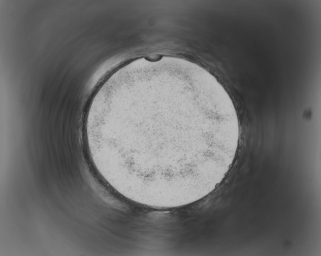 X0000115680054200912241449