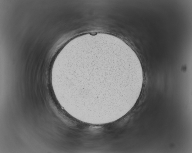 X0000115680055200912241449