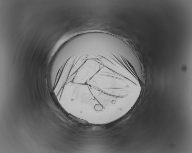 X0000115680056200912241449