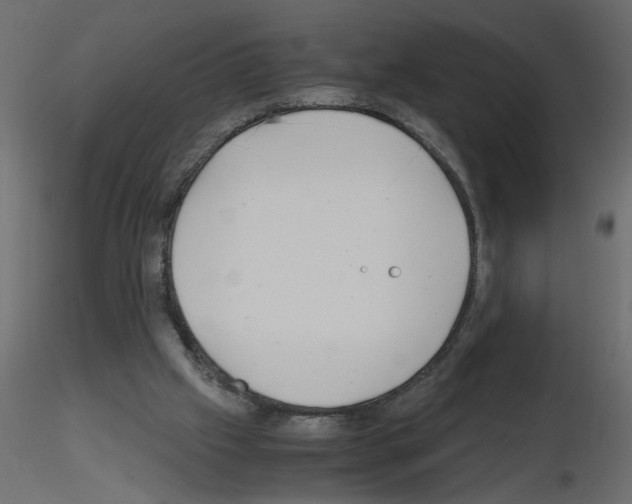 X0000115680057200912241449