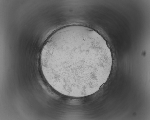 X0000115680058200912241449