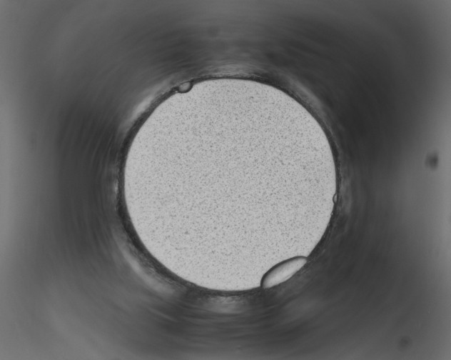 X0000115680059200912241449