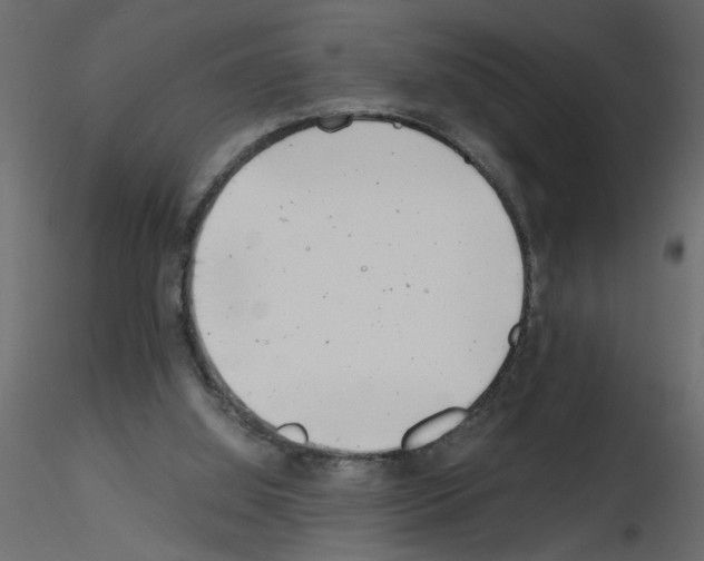 X0000115680060200912241449