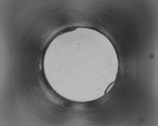 X0000115680062200912241449