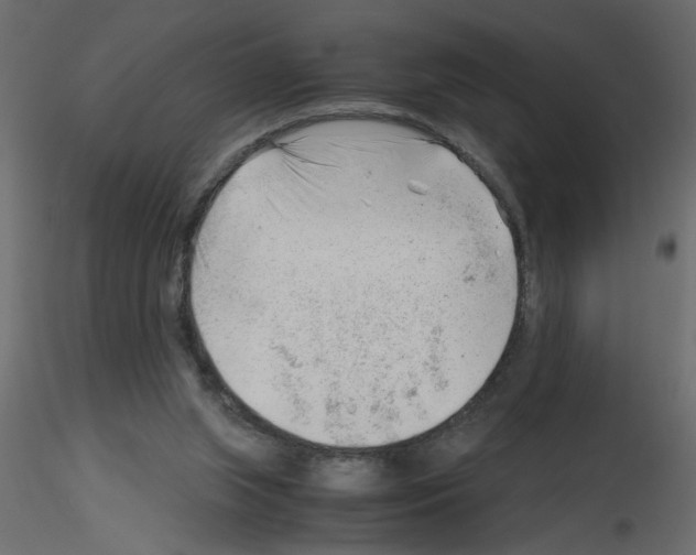 X0000115680063200912241449