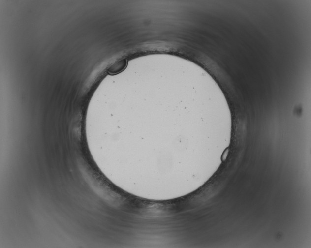 X0000115680064200912241449