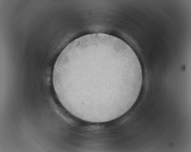X0000115680065200912241449