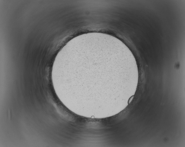 X0000115680066200912241449