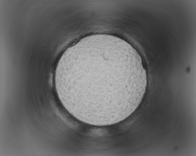 X0000115680067200912241449