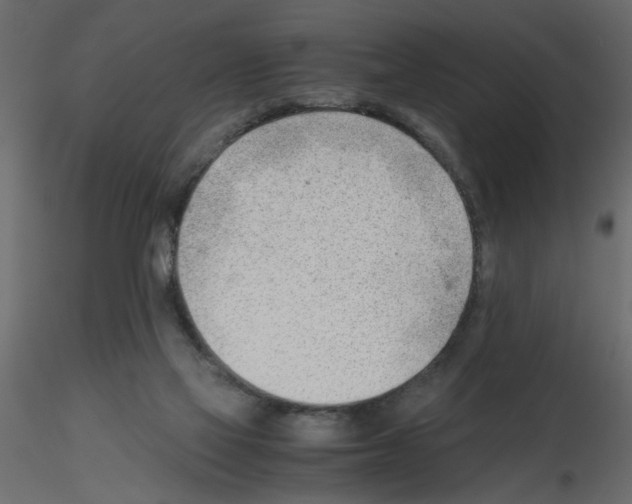 X0000115680069200912241449