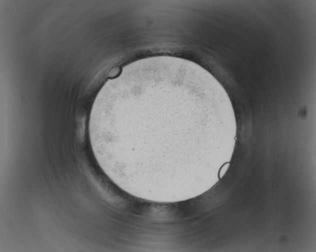 X0000115680070200912241449