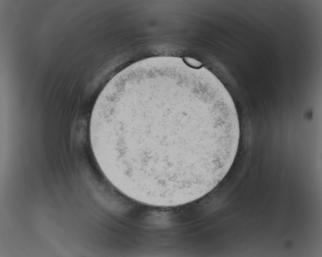 X0000115680071200912241449