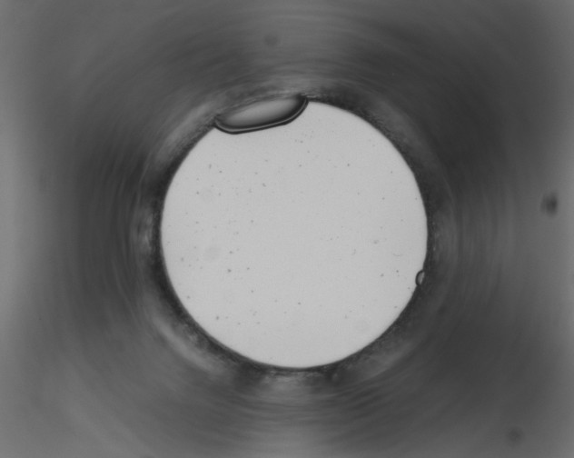 X0000115680072200912241449