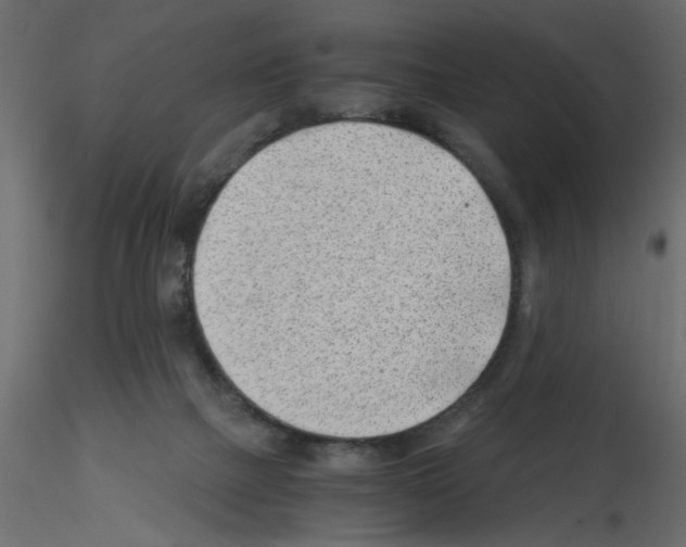 X0000115680073200912241449