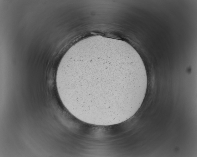 X0000115680074200912241449