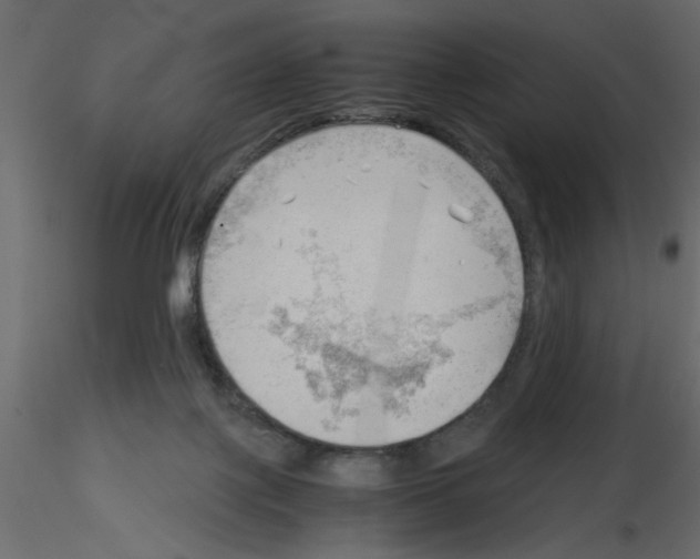 X0000115680075200912241449