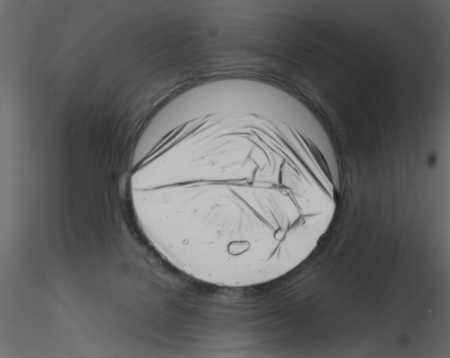 X0000115680076200912241449