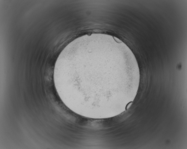 X0000115680078200912241449