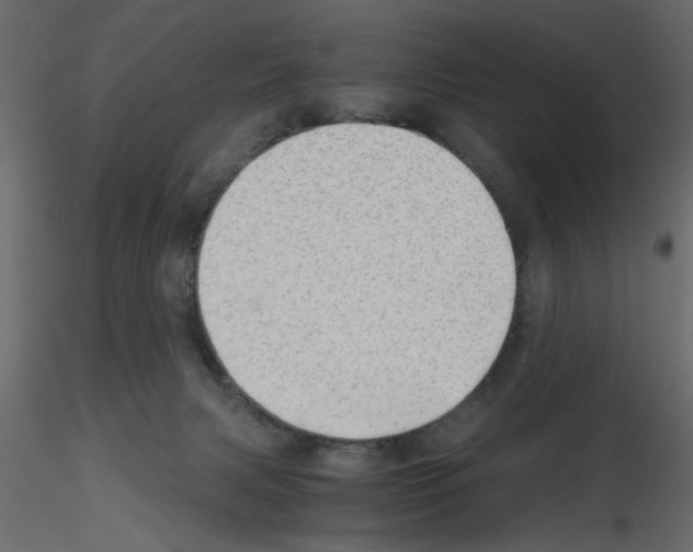 X0000115680079200912241449
