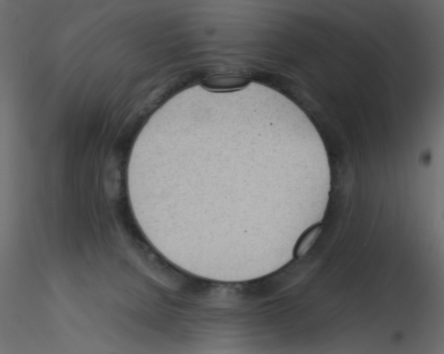 X0000115680080200912241449