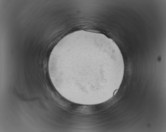X0000115680082200912241449