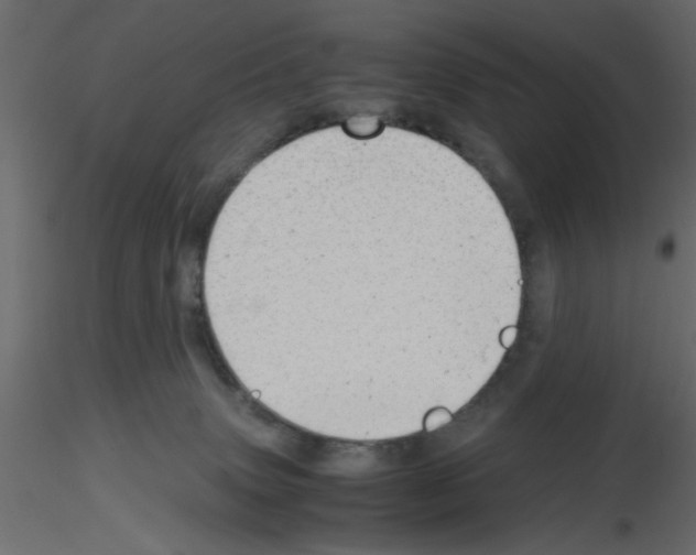 X0000115680083200912241449