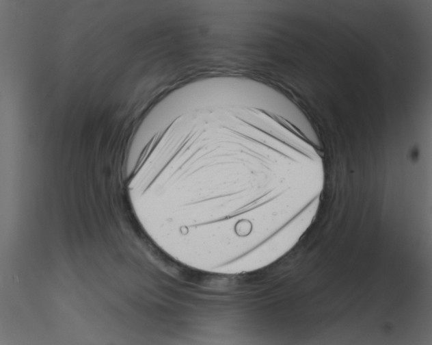 X0000115680084200912241449
