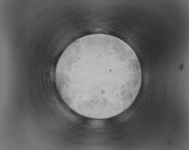 X0000115680085200912241449