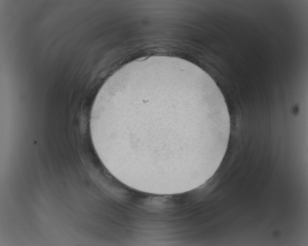 X0000115680086200912241449