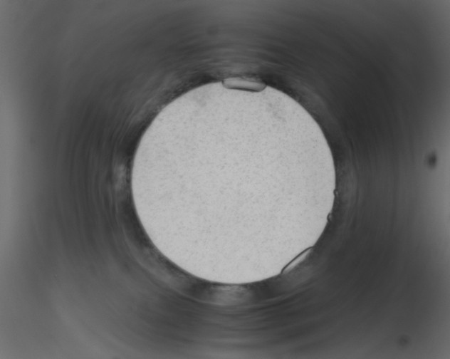 X0000115680087200912241449