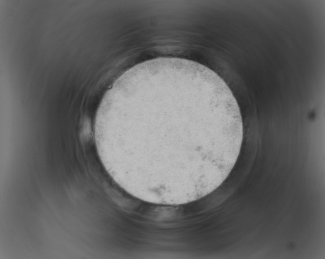 X0000115680089200912241449