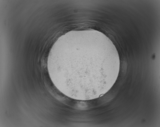X0000115680091200912241449