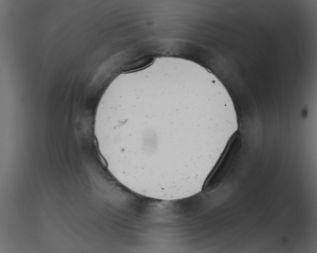 X0000115680092200912241449