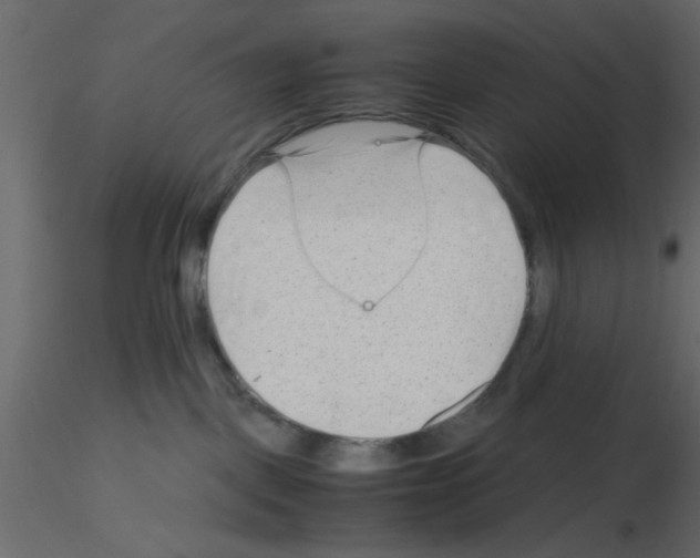 X0000115680093200912241449