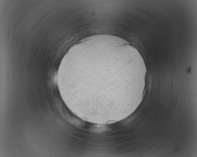 X0000115680095200912241449