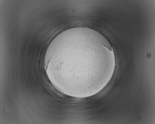 X0000115680096200912241450