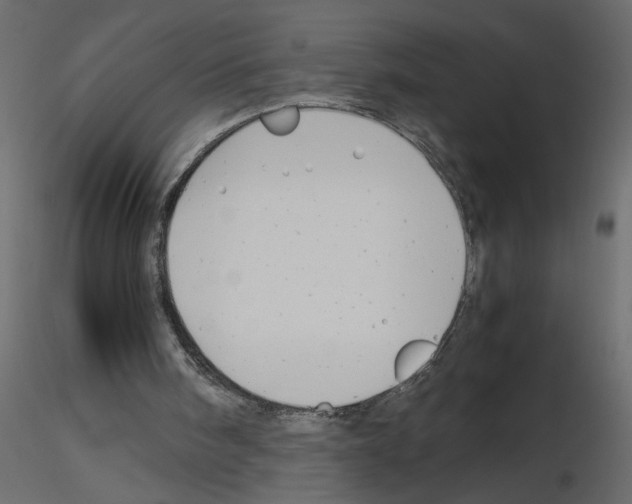 X0000115680098200912241449
