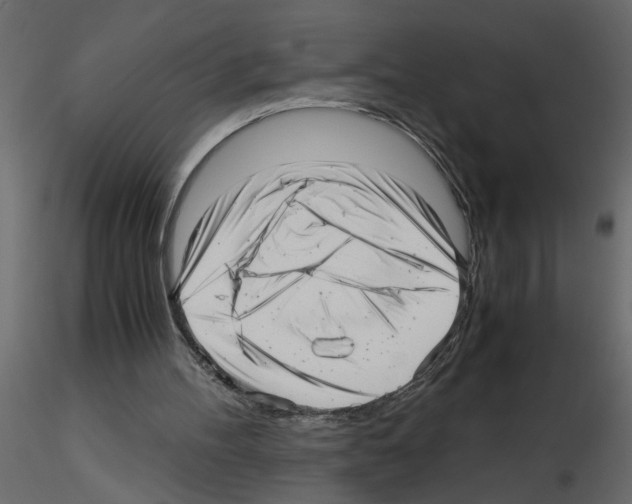 X0000115680100200912241449