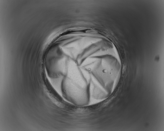 X0000115680101200912241449