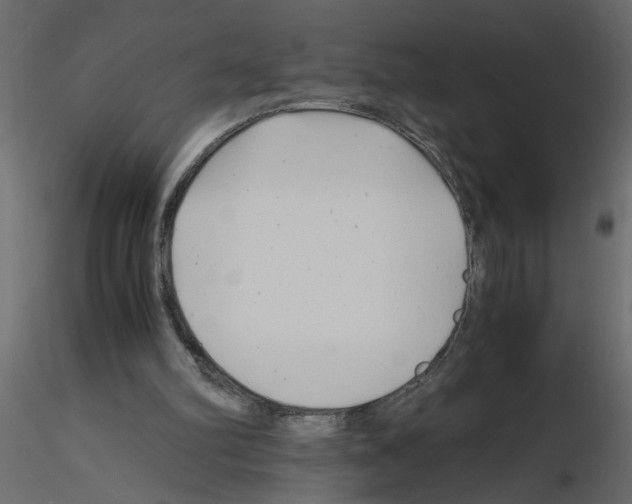 X0000115680102200912241449