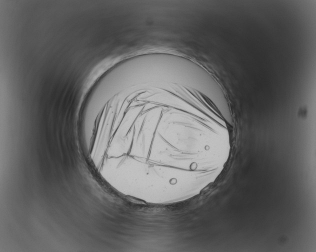 X0000115680104200912241449