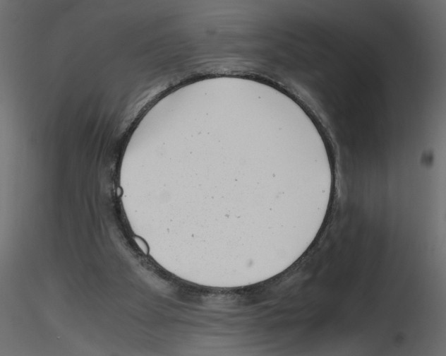 X0000115680105200912241449