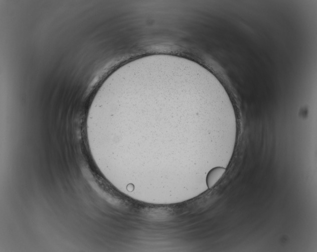 X0000115680106200912241449